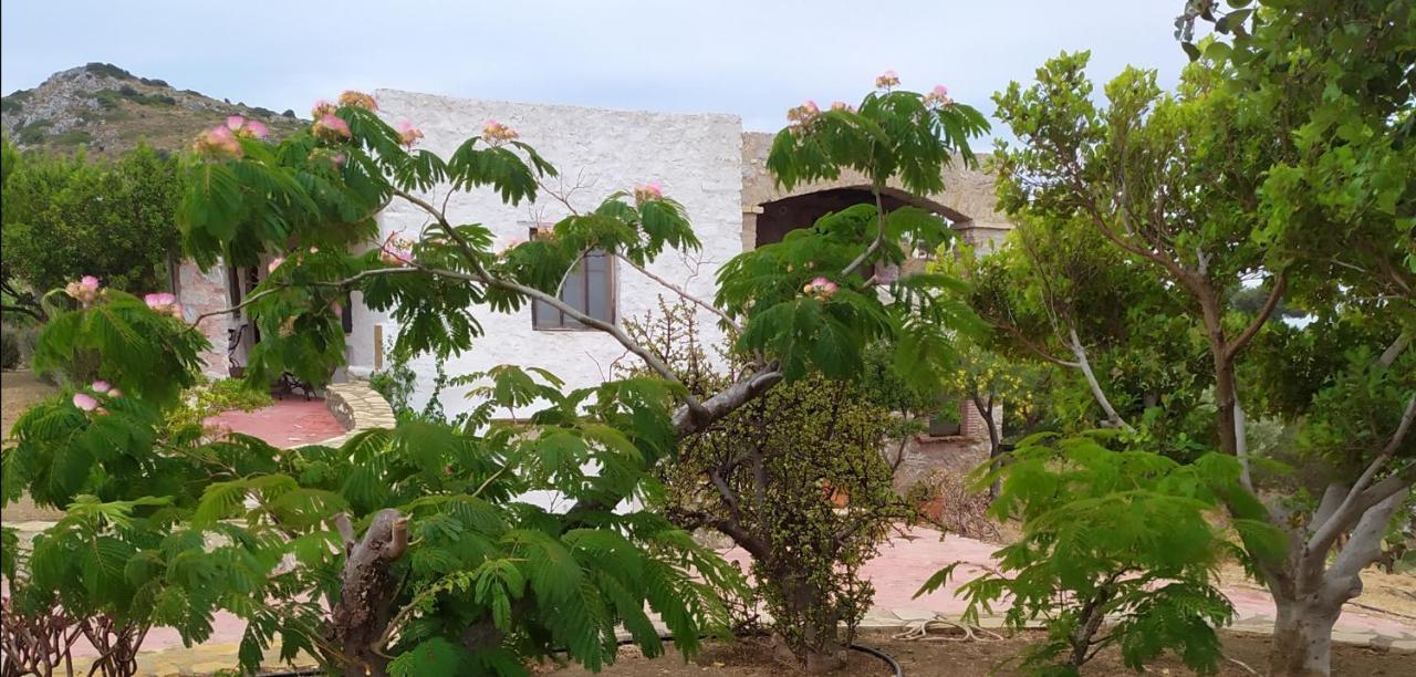 Villa Via Savoia Gourna ภายนอก รูปภาพ